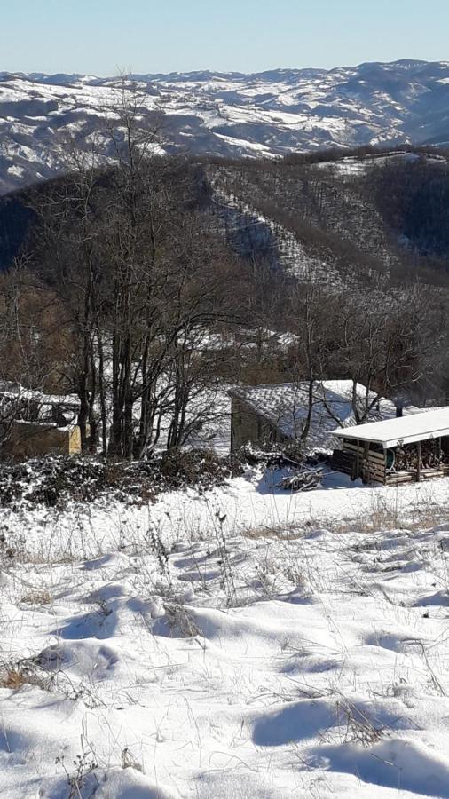 Villa La Tana Del Picchio Neviano degli Arduini Exterior foto