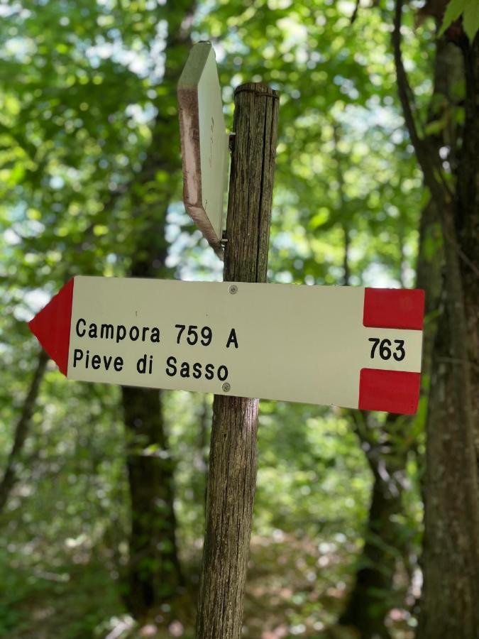 Villa La Tana Del Picchio Neviano degli Arduini Exterior foto