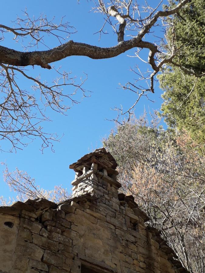 Villa La Tana Del Picchio Neviano degli Arduini Exterior foto