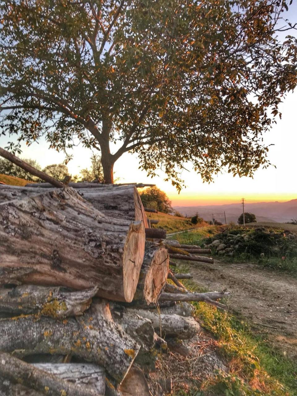 Villa La Tana Del Picchio Neviano degli Arduini Exterior foto